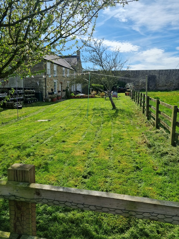 After Garden Overhaul